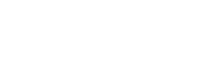 Global Petrol Service srl